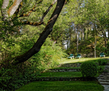 Pust inn duften av furu og eik i en fredelig, skyggefull park.