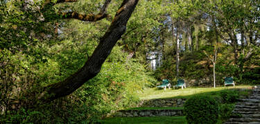 Pust inn duften av furu og eik i en fredelig, skyggefull park.