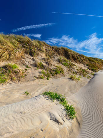 Enjoy a stay just a short walk from De Haan’s sandy North Sea shoreline.