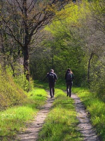 Take a walk in the Dune Forests, a 157-hectare nature reserve in De Haan, popular with hikers.