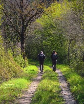 Ta en tur i Dune Forests, et 157 hektar stort naturreservat i De Haan, som er populært blant turgåere.