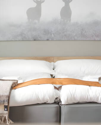 Die einfachen Zimmer im skandinavischen Stil bieten ruhigen und praktischen Komfort.