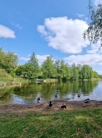 Upptäck Långängensjön och naturparken med golf, vandringsleder och havet nära.