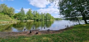 Entdecken Sie den Långängen-See und den Naturpark mit Golf, Wanderwegen und der Ostsee in der Nähe.