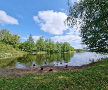 Entdecken Sie den Långängen-See und den Naturpark mit Golf, Wanderwegen und der Ostsee in der Nähe.