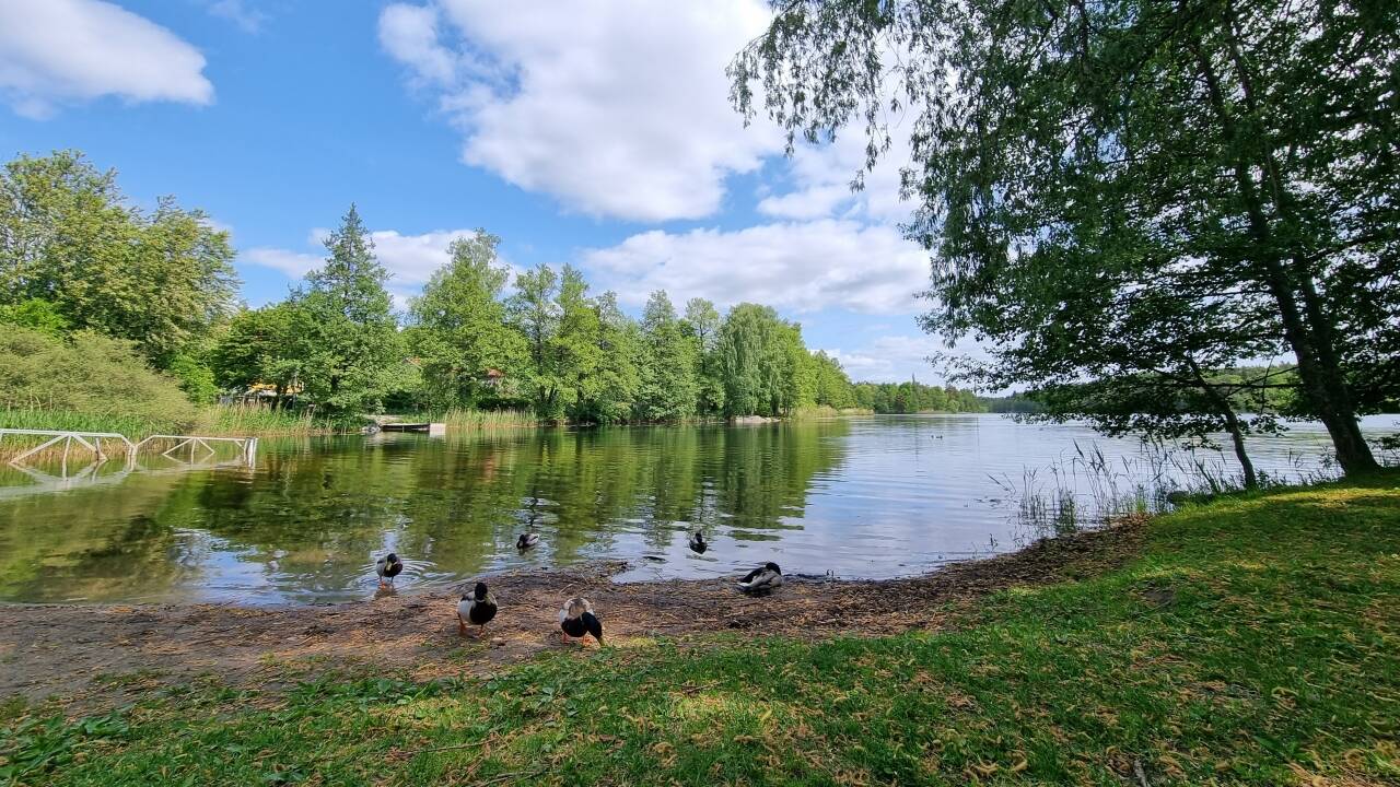 Udforsk Längängen søen og naturparken med golf, vandrestier og havet tæt på.