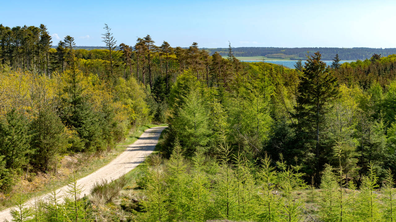 Oplev Nationalpark Thy med skovstier, åbne heder og en vild kystlinje.