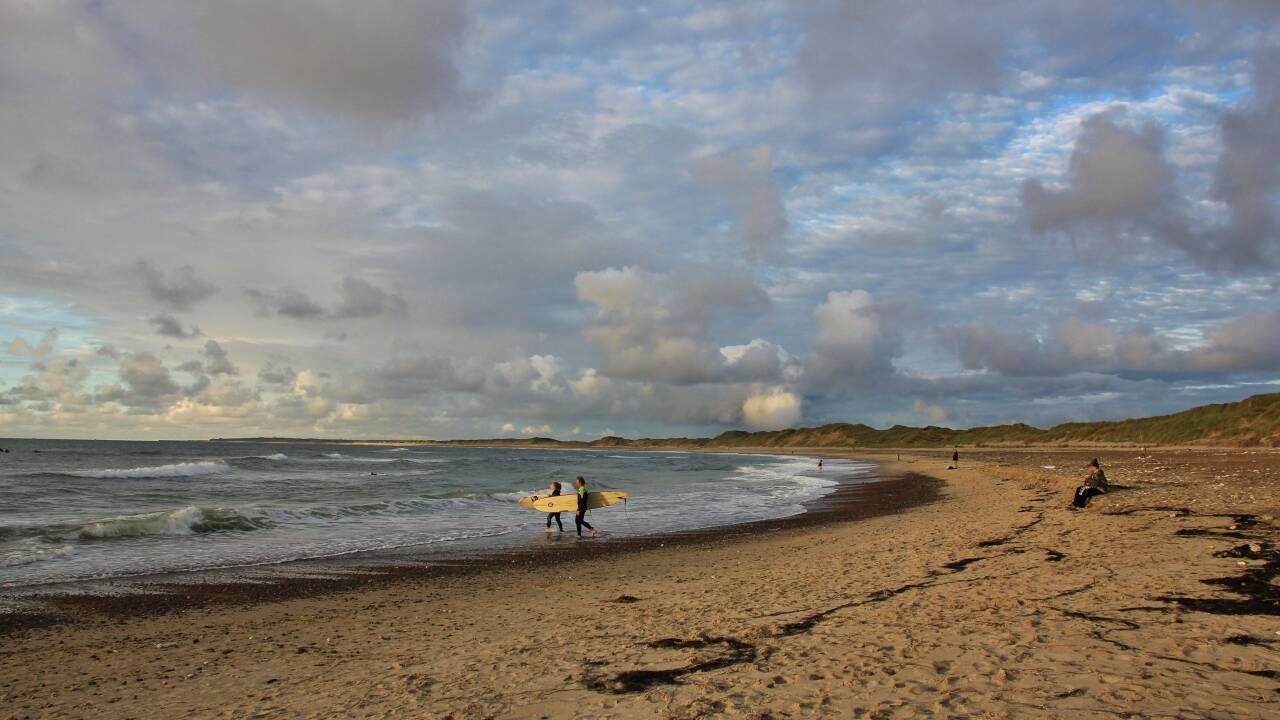 Visit the surf beaches of "Cold Hawaii" on the Thy coast, where you can watch the surfers or enjoy a walk.