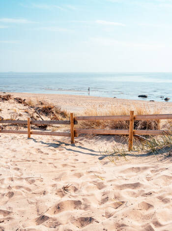 Besök Skrea strand för sandstränder och uppfriskande promenader vid havet.