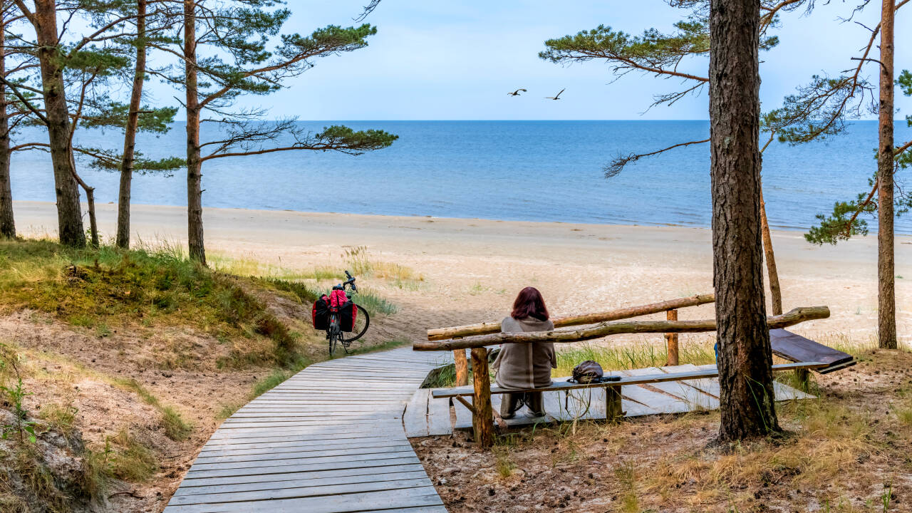 Take peaceful coastal walks through pine forests, with scenic trails leading directly to the sandy beach.