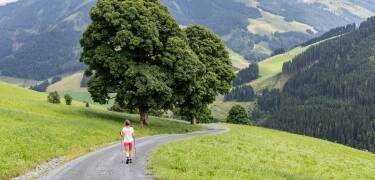 Hotellet är en utmärkt utgångspunkt för vandringar genom Pinzgaus landsbygd, från lugna dalstigar till natursköna alpstigar.