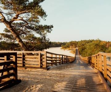 Utforska kustnära cykelvägar och vandringsleder genom gröna skogar nära resorten.