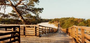Utforska kustnära cykelvägar och vandringsleder genom gröna skogar nära resorten.