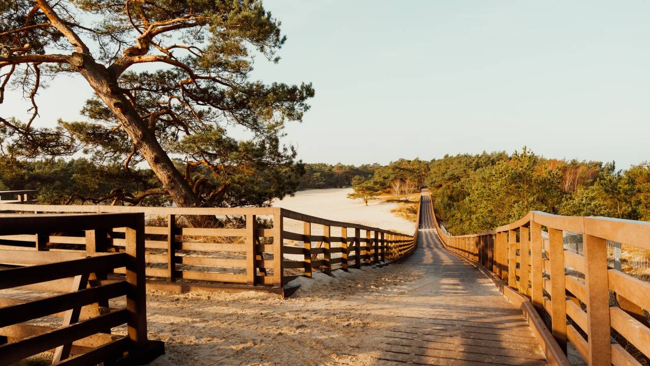 Explore coastal cycling paths and nature trails through lush forests near the resort.