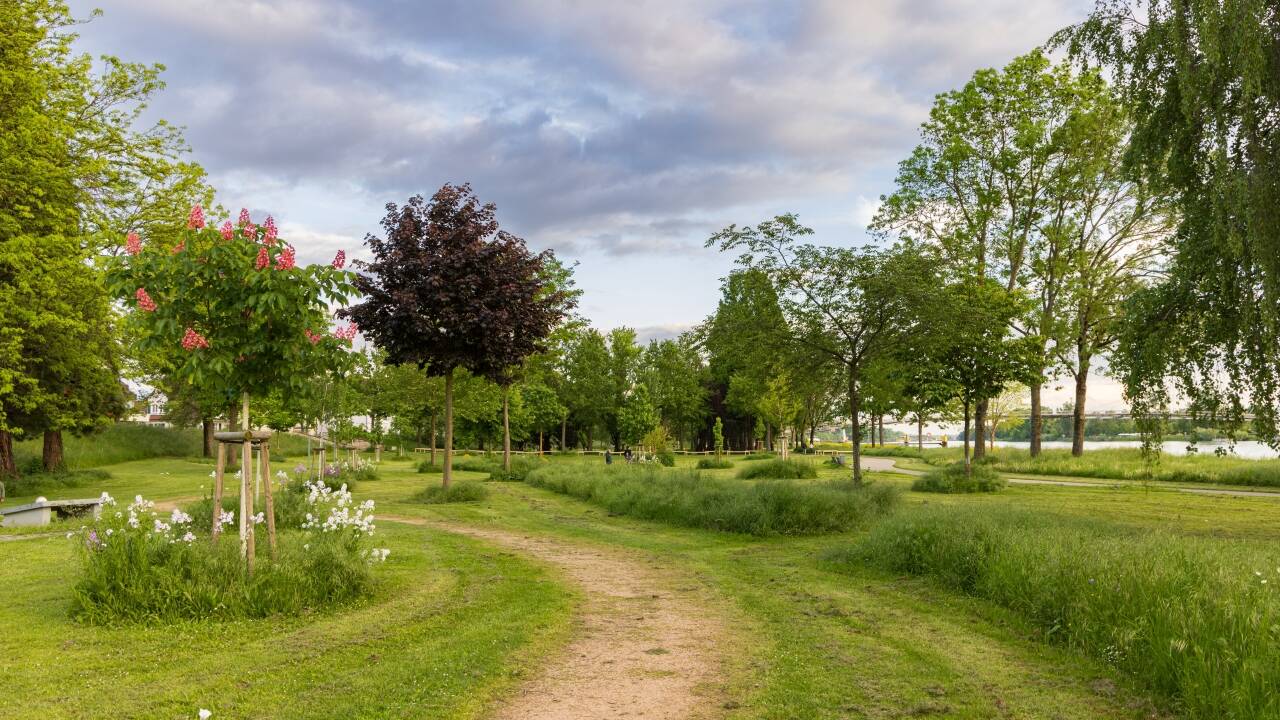 Direkt neben dem Hotel befindet sich der Garten der zwei Ufer – ein 50 Hektar großer grenzüberschreitender Park.
