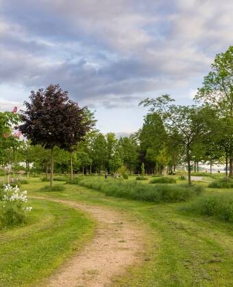 Direkt neben dem Hotel befindet sich der Garten der zwei Ufer – ein 50 Hektar großer grenzüberschreitender Park.