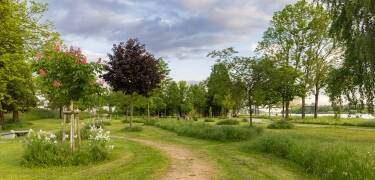 Direkt neben dem Hotel befindet sich der Garten der zwei Ufer – ein 50 Hektar großer grenzüberschreitender Park.