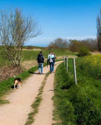 Explore scenic trails perfect for cycling, hiking, and enjoying fresh air.