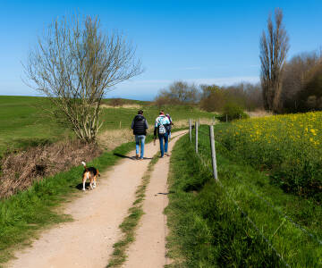 Erkunden Sie malerische Wege – ideal zum Radfahren, Wandern und Frischlufttanken.
