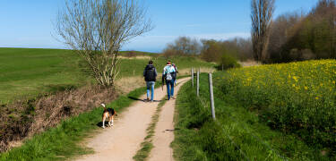 Erkunden Sie malerische Wege – ideal zum Radfahren, Wandern und Frischlufttanken.