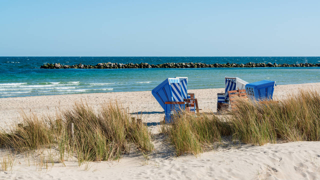 Besuchen Sie nahegelegene Badeseen oder machen Sie einen Ausflug an die Ostseeküste.