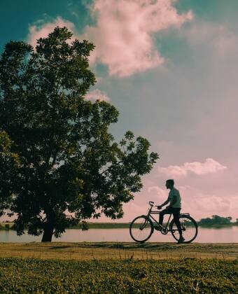 Hyr en cykel på Spa For Hjo och utforska de lantliga vägarna och naturen omkring.