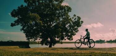 Rent a bicycle at Spa For Hjo and explore the surrounding country roads and nature.