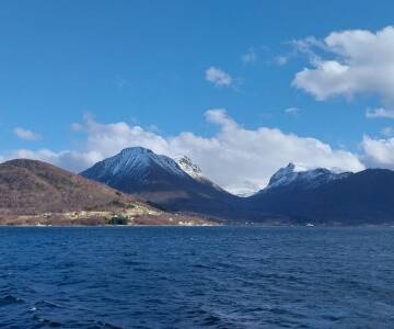 Opplev det beste av fjord-Norge med båtturer og uforglemmelig natur rundt Storfjorden.