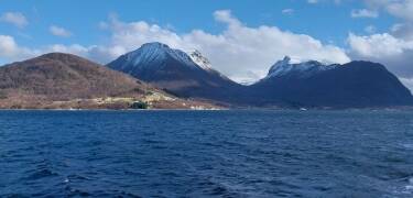 Opplev det beste av fjord-Norge med båtturer og uforglemmelig natur rundt Storfjorden.