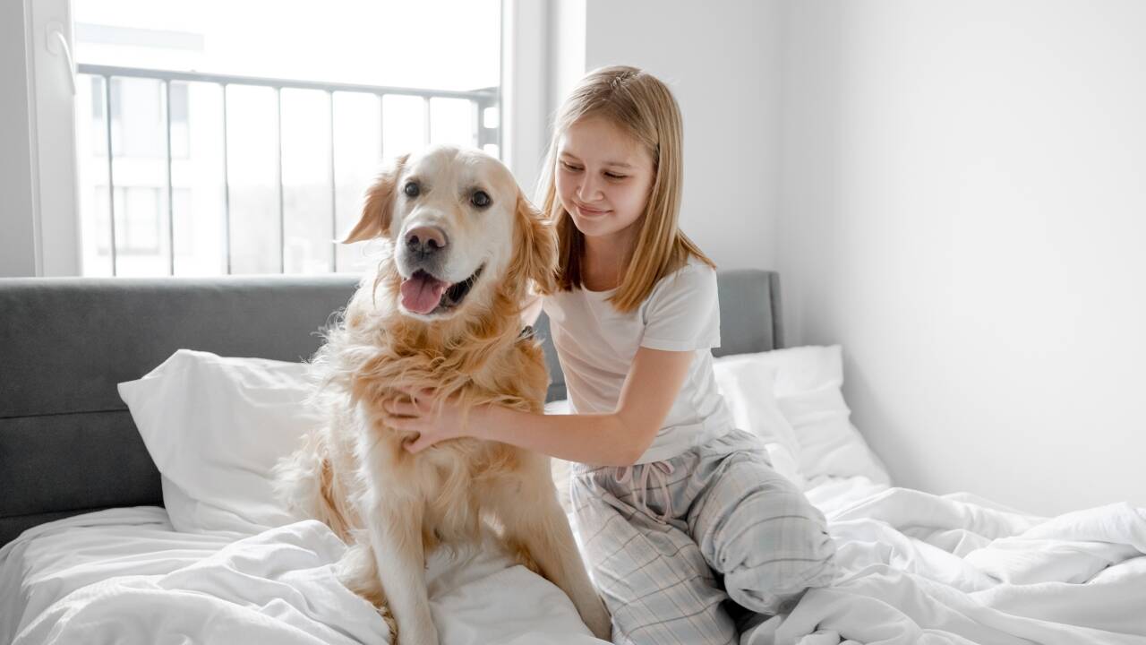The apartments are pet-friendly, so you can bring your dog along.
