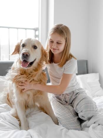 Lägenheterna är husdjursvänliga, så du kan ta med dig din hund.