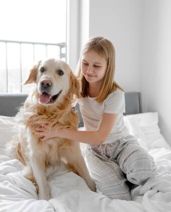 Leilighetene er dyrevennlige, så du kan ta med hunden din.