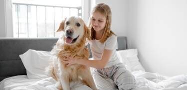 The apartments are pet-friendly, so you can bring your dog along.