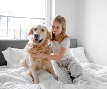 Lägenheterna är husdjursvänliga, så du kan ta med dig din hund.