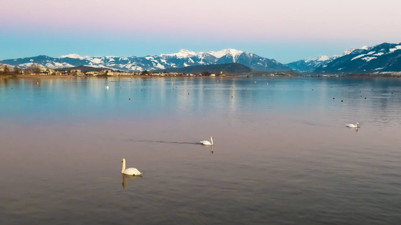 Visit nearby attractions including the Swiss National Museum and beautiful Lake Zürich.