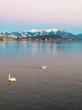 Besøg nærliggende attraktioner som det Schweiziske Nationalmuseum og smukke Zürichsøen.