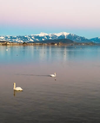 Besuchen Sie nahegelegene Sehenswürdigkeiten wie das Schweizerische Nationalmuseum und den schönen Zürichsee.