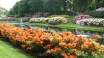 Besuchen Sie den schönen Rhododendronpark in Brønderslev, wenn die duftenden Blumen sprießen.