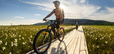 Biking trails and hiking routes begin just outside the door.