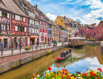 Take a day trip to the beautiful city of Strasbourg, which offers plenty of historical and cultural experiences.