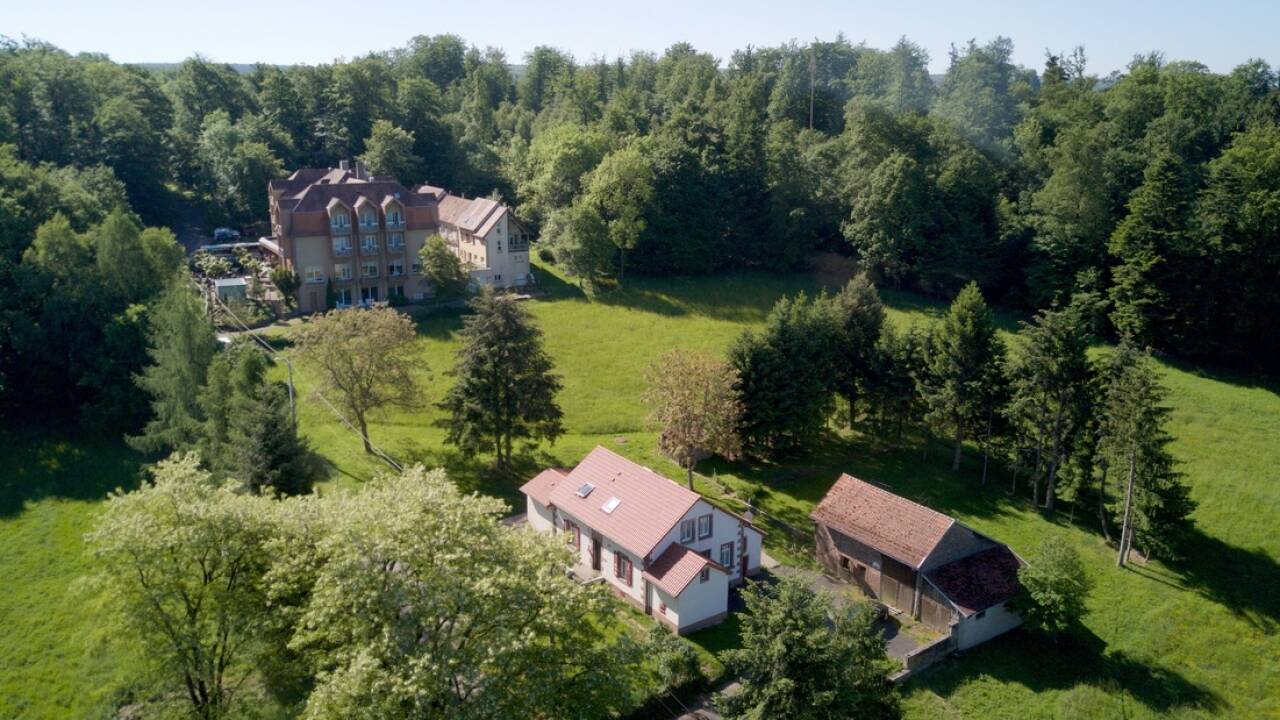 Dette familiedrevne hotel er renoveret i 2020, og tilbyder et skønt ophold med autentisk fransk gæstfrihed, i hjertet af Alsace.