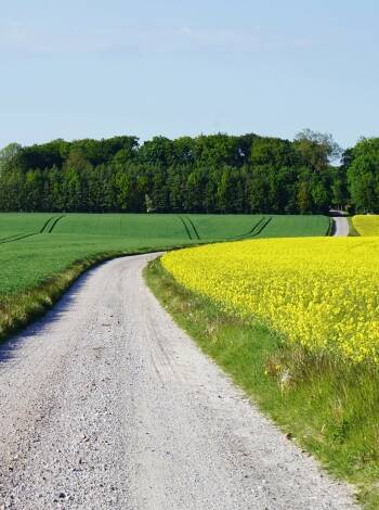 Skåne är ett av Sveriges vackraste landskap, ta chansen att utforska stränderna och den slående naturen.