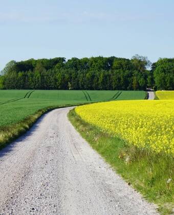 Skåne är ett av Sveriges vackraste landskap, ta chansen att utforska stränderna och den slående naturen.