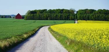 Skåne är ett av Sveriges vackraste landskap, ta chansen att utforska stränderna och den slående naturen.
