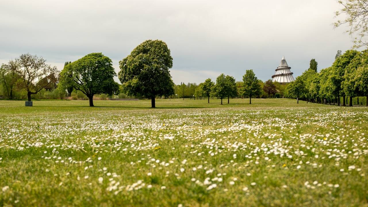 Explore the beautiful gardens and walking paths of Elbauenpark, and visit the famous Millennium Tower.