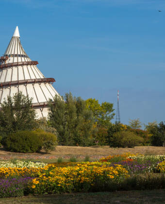 Explore the beautiful gardens and walking paths of Elbauenpark, and visit the famous Millennium Tower.