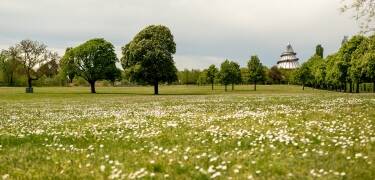 Explore the beautiful gardens and walking paths of Elbauenpark, and visit the famous Millennium Tower.