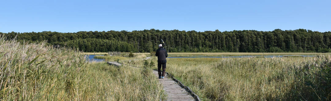 Utforska Getteröns naturreservat som bjuder på vackra stränder och unika fågelarter.