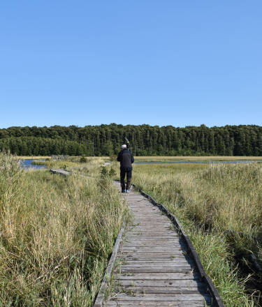 Tag til det smukke naturreservat Getterön, hvor du kan se flere fuglearter og dejlige strande.