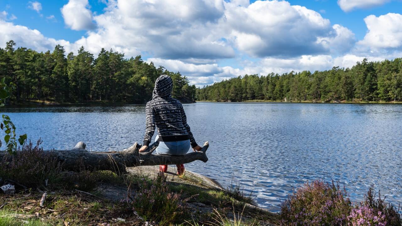Häringe Hammersta naturreservat bjuder på rofyllda landskap och orörd natur nära hotellet.